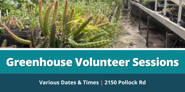 Greenhouse Volunteer Sessions 1